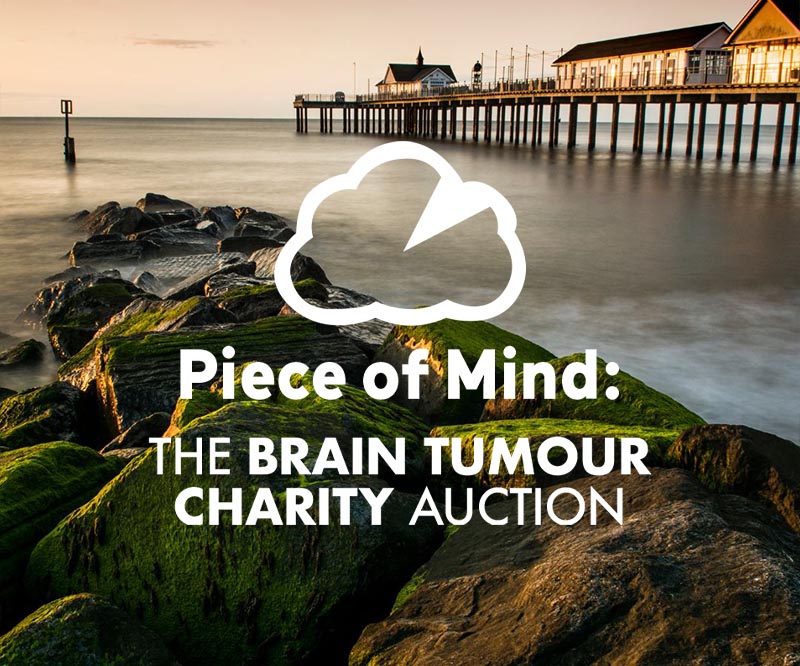 Piece of Mind : The Brain Tumour Charity Auction